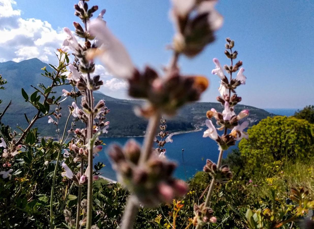 Achelatis Traditional Guest Houses Areopoli Bagian luar foto